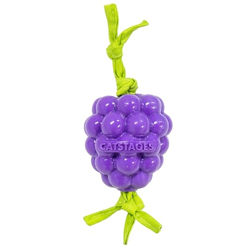Catstages Bouncing Grape Teether Cat Toy, Soft and Textured Chew, Catnip Oil Coating
