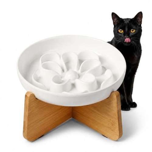 PTOBER Elevated Slow Feeder Cat Bowl - Melamine Cat Dish with Anti-Slip Bamboo Stand - Whisker Friendly Feeding Bowl - Floral Maze Food Plate for Slow Eating - White - color: White