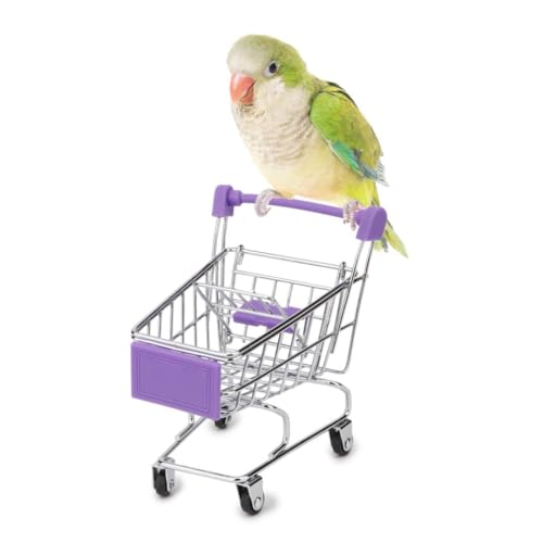 Hypeety Bird Toys Mini Shopping Handcart Trolley Training Bird Toy, Purple - color: Purple