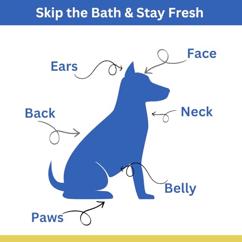 Best BARKIN' Wipes – On-The-Go Individual Micellar Water Dog Wipes - 50Pk - size: 50-Pack