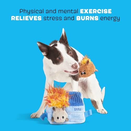 BarkBox Hide N' Squeak Dumpster Fire Dog Toy - 3-in-1 - color: Dumpster Fire