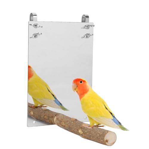 Joyzan Bird Mirror, Wooden Hanging Swing Play Toys Perch Stand Cockatiel