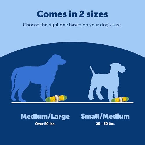 PetSafe Busy Buddy Cravin Corncob Treat Holding Dog Toy, Small/Medium - size: Small/Medium