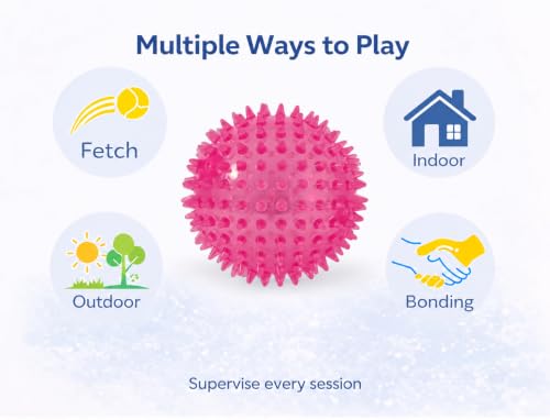 Squeaky Spiky Dog Ball for Teeth Cleaning & Gum Massage 2.5 Inch Small Medium Dogs Pink | Spiny TPR Rubber Chew Toy for Fetch Play Interactive Bouncy Dental Ball Durable BPA Free Nontoxic Floats - size: Pink Ball 1-Pack