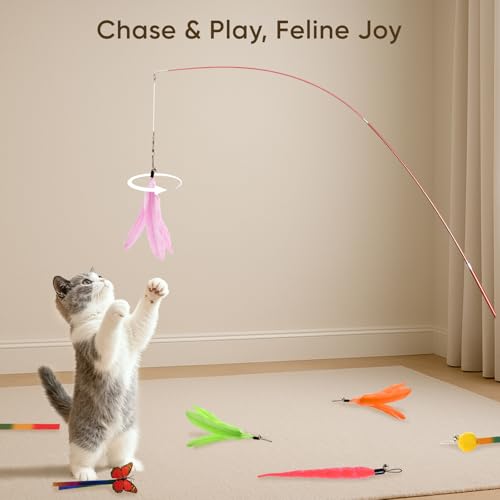 Cat Toys for Indoor Cats, 13 Packs Interactive Cat Wand Toy Set with Feather＆Ribbon Refills, Feather Toys for Exercise, Playtime and Boredom Relief with Kitten - size: 13 Packs B