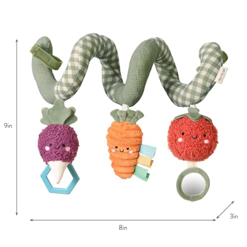 Itzy Ritzy Spiral Car Seat & Stroller Activity Toy, 0 Months Up (Veggie) - color: Veggie
