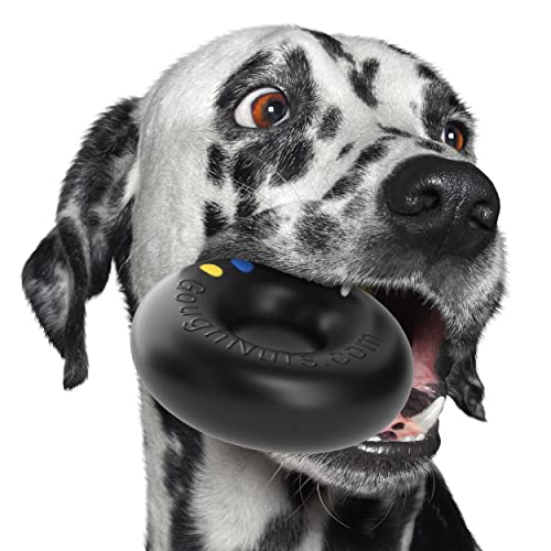 Goughnuts — Dog Toys for Aggressive Chewers | Virtually Indestructible Dog Toys for Medium Breeds Such as Pit Bulls | Heavy Duty Dog Toy | Black - color: Toughest HD Pro 50, size: Medium, 30-70 Lbs (Original Size)