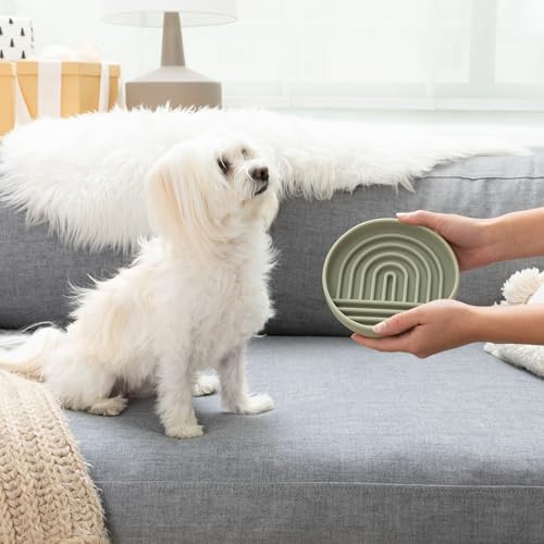 Slow Feeder Dog Bowl - Silicone Dog Bowl, Small, 6" x 1.25" - Sage - color: Sage - Rainbow Design, size: Small (6” Across x 1.25” Tall)