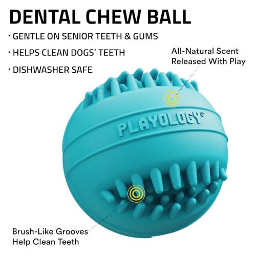Playology Dental Chew Ball Toy for Senior Dogs- Medium, Peanut Butter Scent - size: Medium Chew Ball, style: Peanut Butter