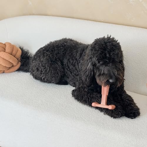 SPOT Bam-Bones Plus T-Bone Dog Chew, Beef, 7in, 60-90 lb Heavy Chewers - size: Large