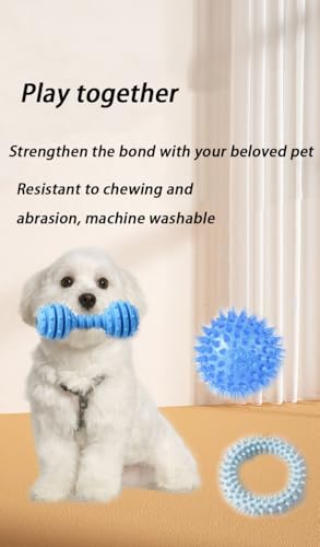 Teething Toys for Large, Medium, and Small Dogs – 9-Piece Set