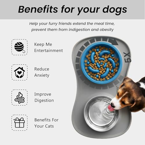 YINEYA 3 in 1 Slow Feeder Dog Bowls,Dog Water Bowl,Cat and Dog Food Bowl - color: Gray, size: Medium