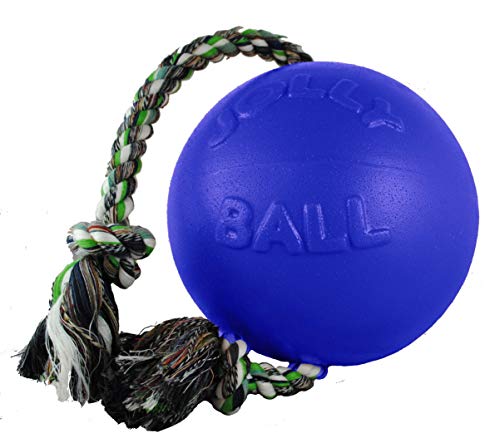 Jolly Pets Romp-N-Roll Rope & Ball Dog Toy, 6 in Medium, Blue - color: Blue, size: Medium (6 in)