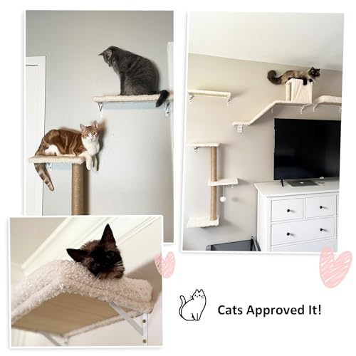FUKUMARU Cat Wall Shelves, 4 in 1 Set, Beige - color: Beige