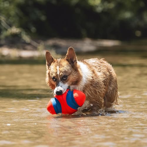 Chuckit! Fumble Fetch Dog Football, Small, Orange and Blue - size: Small, style: Orange/Blue