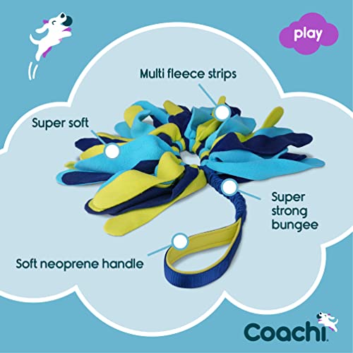 Coachi Tuggi Spider - Interactive Dog Toy for Tug of War & Play - style: Tuggi Spider