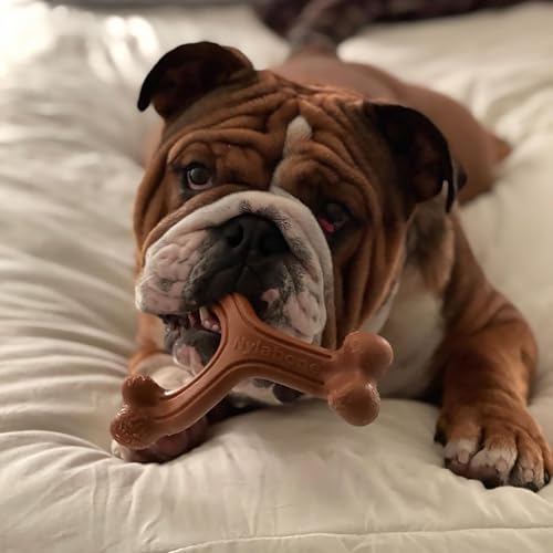 Nylabone Power Chew Easy-Hold Wishbone Dog Chew Toy, Large - color: Wishbone, size: Large
