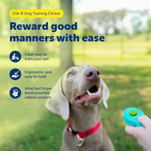 PetSafe Clik-R Dog Training Clicker, Blue - color: Blue