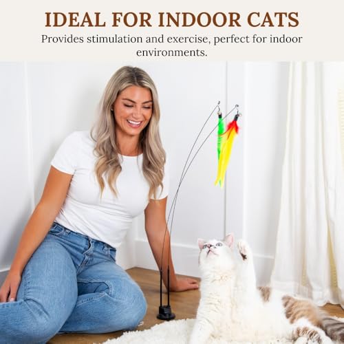 Cat Toys for Indoor Cats, Interactive Cat Toy Wand, Kitten Stuff, 9 Lures - color: Meow Motion Bundle