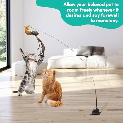 Interactive Cat Toy for Indoor Cats, Suction Cup Feather Bird Toy