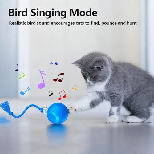 Speed 2.0 Tail Interactive Cat Toys, Rechargeable Ball for Indoor Cats - color: Blue tail
