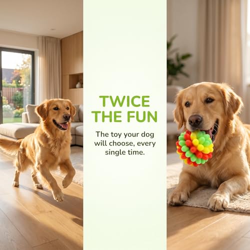 Durable Chew Ball for Aggressive Dogs