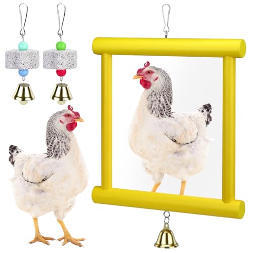 1 Pcs Chicken Mirror Toys Large 12x10 Inch Hanging Swing Mirror with Bell