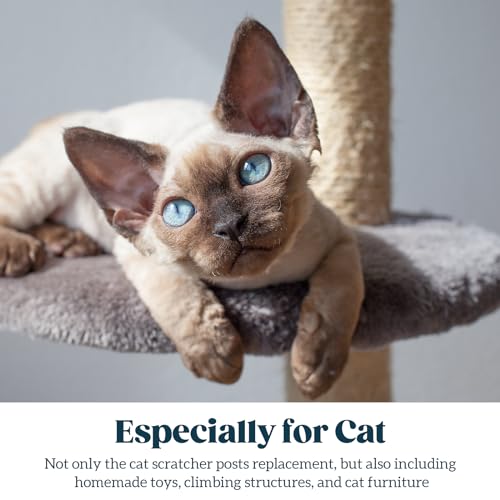 Natural Sisal Rope for Cat Scratcher and Scratching Post 1/4 Inch, 100 Feet - color: Natural, size: 1/4 inch by 100ft