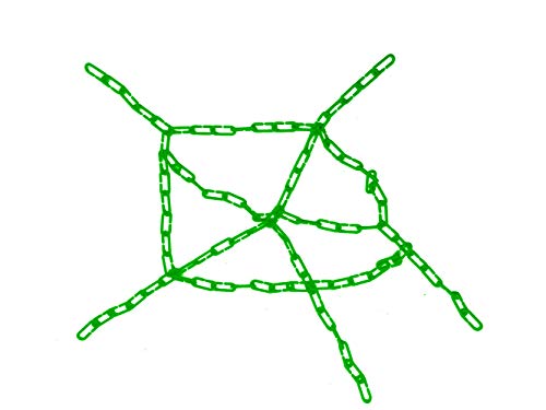 200Pcs Green C-Clips Plastic Chain Links for Birds & Small Pets - color: Green, size: 200Pcs