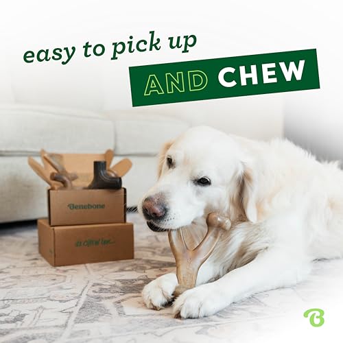 Benebone Large Dog Toys for Aggressive Chewers – Under 90 lbs, 4 Count, Large (Pack of 8) - size: Large (Pack of 8), style: 4 Pack