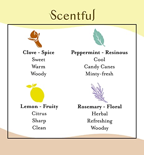 Smell Training Kit, Smell Retraining Therapy, Restore Sense of Smell and Taste, Made in the USA with 4 Organic Essential Oils