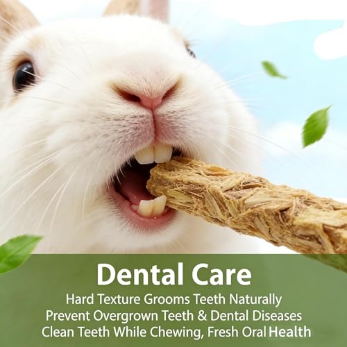 Guinea Pig Chews, Premium Chicory Chew Sticks for Rabbits, Guinea Pig Toys 100% Natural Digestive Aid, Dental Health, Anxiety Relief Chew Toys - Safe Fiber Snack for Rabbit, Chinchilla, Hamster, Rat