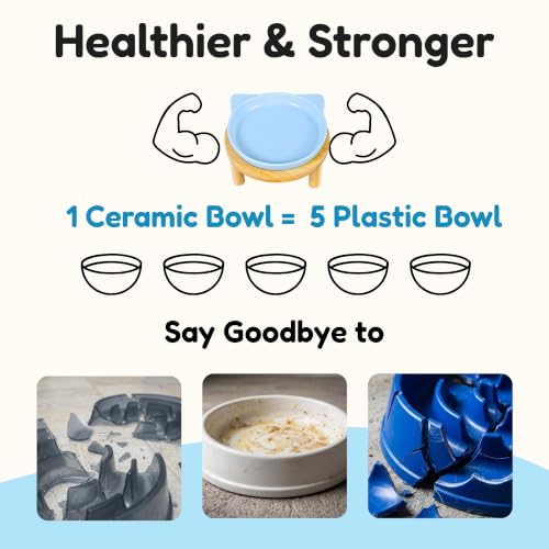 Elevated Ceramic Cat Bowls with Bamboo Stand for Cat Bowl, Whisker Friendly Shallow Cat Plate, Stable Raised Cat Food Riser for Indoor Cats (Blue, Set of 1) - color: Blue Plate with stand