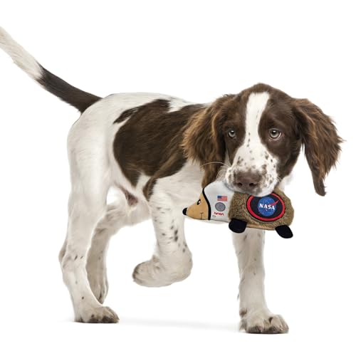 NASA Plush Hedgehog Toy for Dogs & Cats, Cool Soft Pet Toy for Fun and Interactive Play, Dog Chew Toy with Squeaker - style: Hedgehog Toy