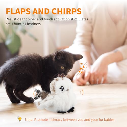 Gigwi Flapping Bird Cat Toys Lifelike Sandpiper Chirp Tweet Interactive Cat Toy, Rechargeable Motion Activated Cat Toys For Bored Indoor Adult Cats, Electronic Automatic Cat Toy With Catnip (prince) - color: prince