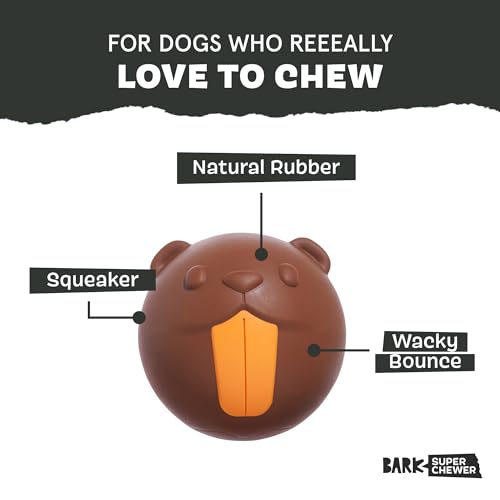 BarkBox Ricochet The Nutria Dog Toy - style: Ricochet The Nutria