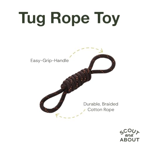 P.L.A.Y. Cute Outdoor Dog Toys - Scout & About Tug Rope Chew Toy, Great for Puppies & Small, Medium, Large Dogs - Machine Washable, Ultra-Durable, Good for Agility Training, Tugging, Fetch (Small) - size: Small