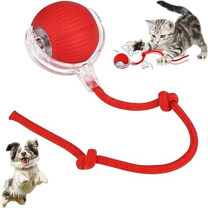 Interactive Cat Ball Toy with Rope, Self-Rolling Motion Ball for Indoor Cats