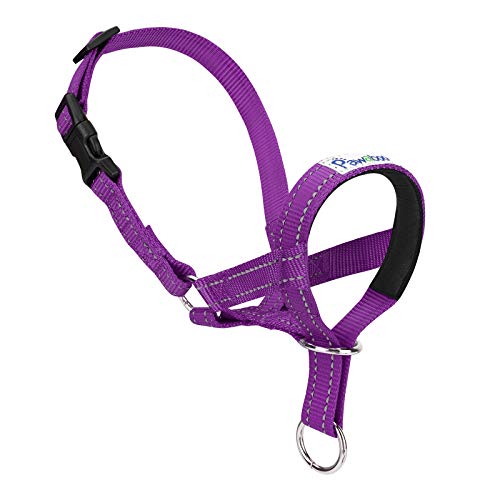 Pawaboo Dog Muzzle, Head Halter Collar for Dog Nylon Reflective Adjustable - color: Purple, size: Medium