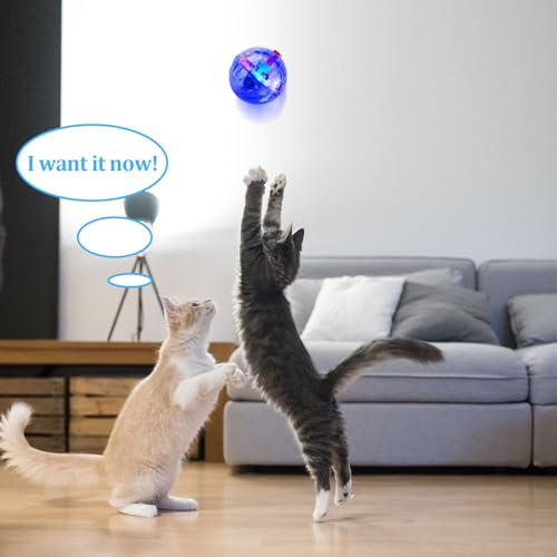 Frienda 4 Pcs Light up Cat Ball LED Motion Ghost Hunting Cat Ball(Clear) - color: Clear