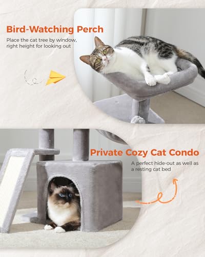 PETEPELA Cactus Cat Tree for Kittens & Small Cats, 32in Cat Tower, Grey - color: Grey