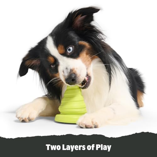 BarkBox Treat Yourself Party Hat Dog Toy - Toy for Small to Medium Dogs - color: Treat Yourself