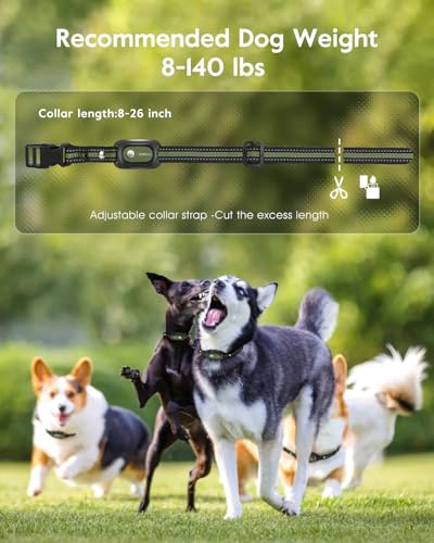 SLOPEHILL Dog Shock Collar,4200FT Dog Training Collar with Remote,Green - color: Green