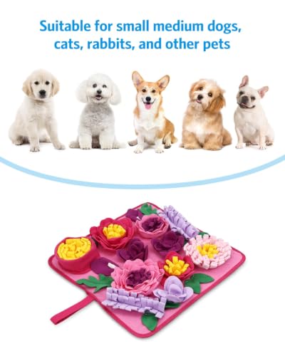 AMIR Snuffle Mat for Dogs, Slow Feeding Dog Sniff Mat with Crinkle Paper