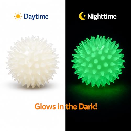 Squeaky Spiky Glow in the Dark Dog Ball for Teeth Cleaning & Gum Massage 2.5 Inch Small Medium Dogs | Spiny TPR Rubber Chew Toy Fetch Play Interactive Bouncy Dental Ball BPA Free Nontoxic Floats - size: Glow Ball 1-Pack