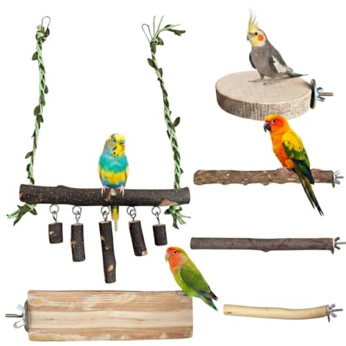 Bird Perch Set, 6 Pack Natural Apple Wood Cage Accessories with Platforms & Swing for Parakeets, Cockatiels, Conures, Budgies, for Climbing, Chewing & Exercise