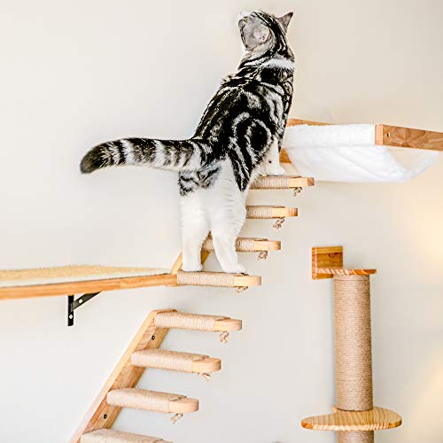 FUKUMARU Cat Climbing Shelf Wall Mounted, Small - size: Small (Bidirectional)