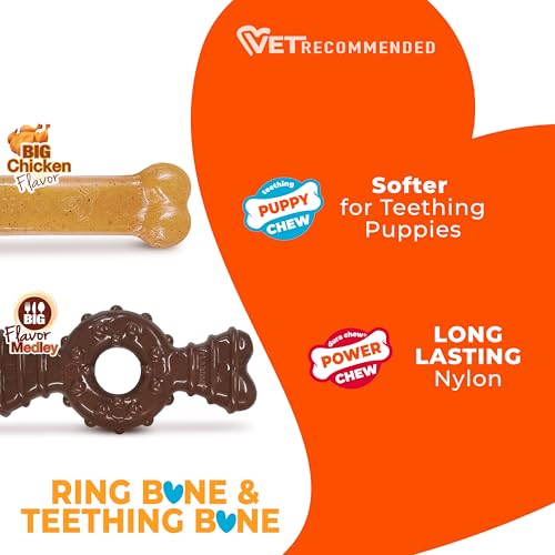 Nylabone Puppy Chew Teething Bone and Ring Bone Dog Chew Toys, 2 Count - color: Ring Bone & Teething Bone, size: X-Small
