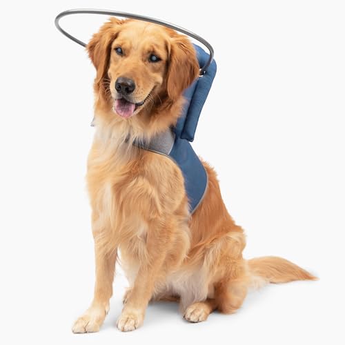 Muffin’s Halo® Original Blind Dog Halo, Harness Bumper Collar, Blue, Size 8 - color: Blue, size: 8