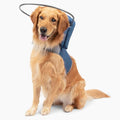 Muffin’s Halo® Original Blind Dog Halo, Harness Bumper Collar, Blue, Size 6 - color: Blue, size: 6